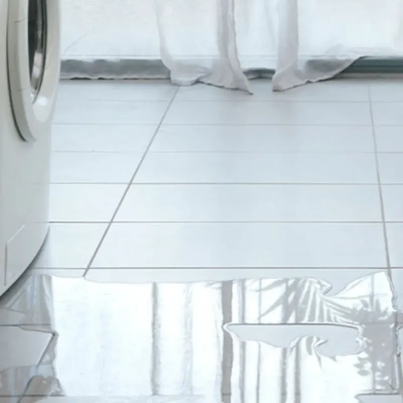 Appliance Leak Cleanup in Meridian Hills, IN