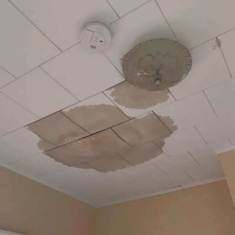 Ceiling Water Damage Repair in Meridian Hills, IN