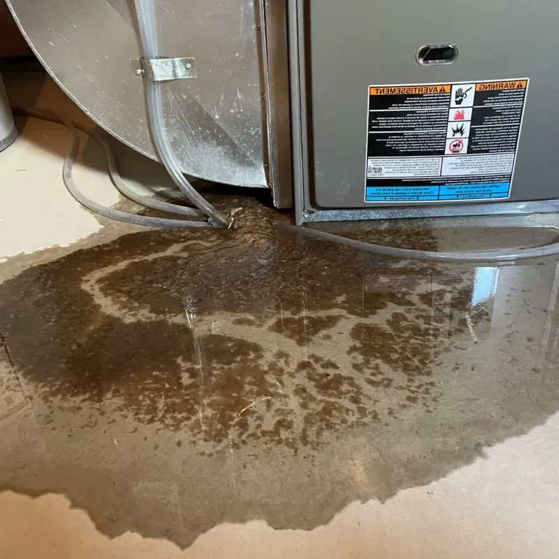 Pipe Burst and Leak Restoration in Meridian Hills, IN
