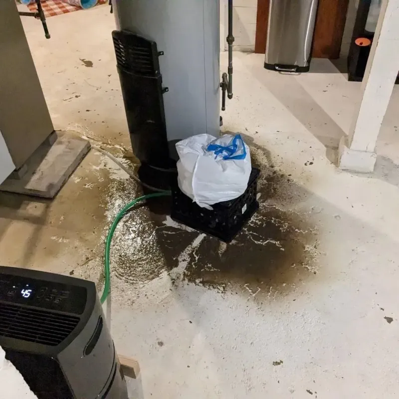 Sewage Backup Cleanup Service in Meridian Hills, IN